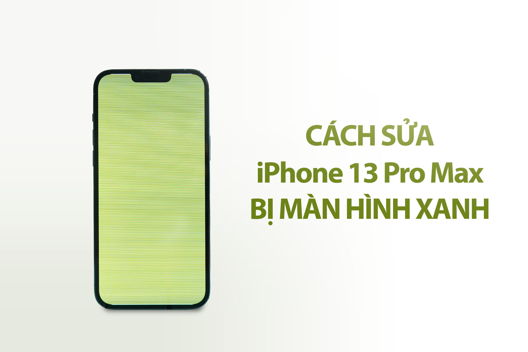 Cách sửa iPhone 13 pro max bị xanh màn hình? chi phí bao nhiêu