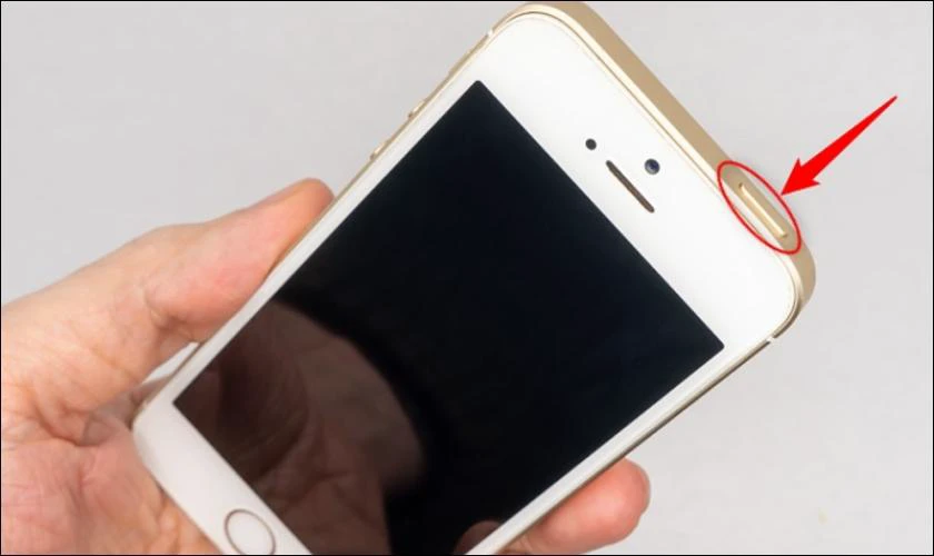 Cách tắt nguồn iPhone khi bị đơ trên iPhone 5/5s