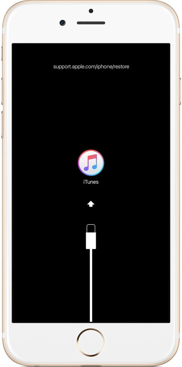 Lỗi camera iPhone trước sau không chụp hình được: Cách sửa hiệu quả
