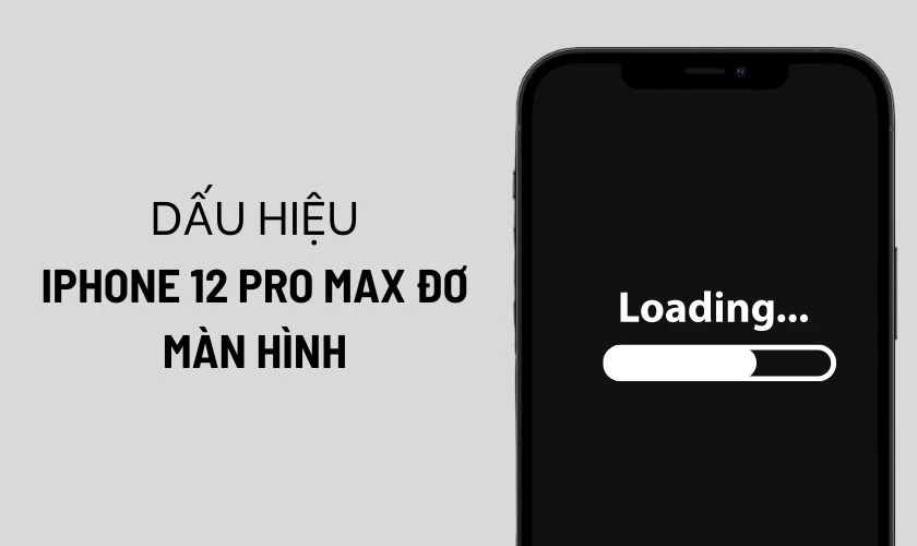 Nguyên nhân làm cho iPhone 12 Pro Max bị đơ màn hình và cách xử lý hiệu quả
