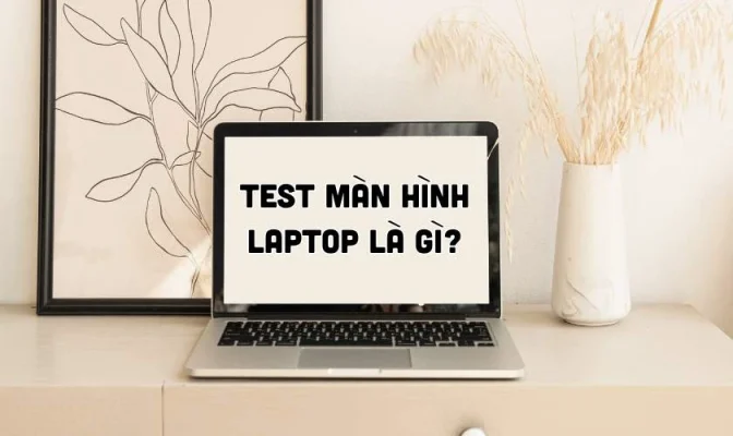 Test màn hình laptop online | Cách test màn hình laptop tại nhà