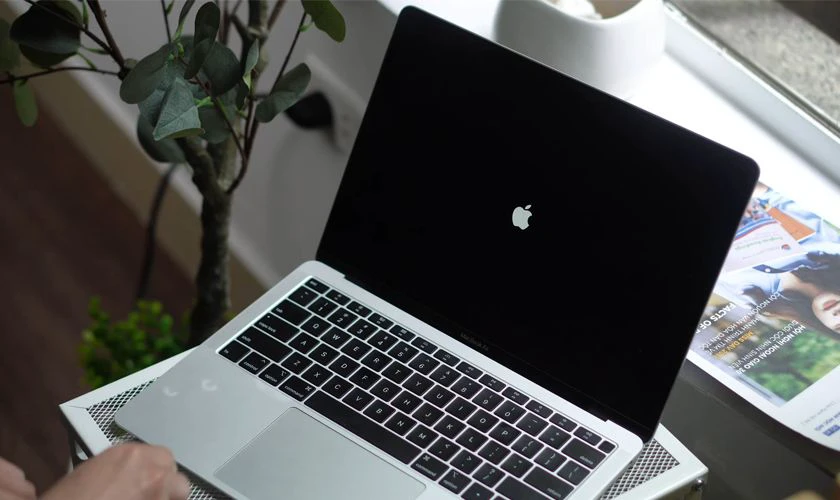 Nguyên nhân, cách khắc phục màn hình MacBook bị sọc
